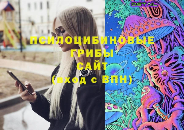 spice Алексин