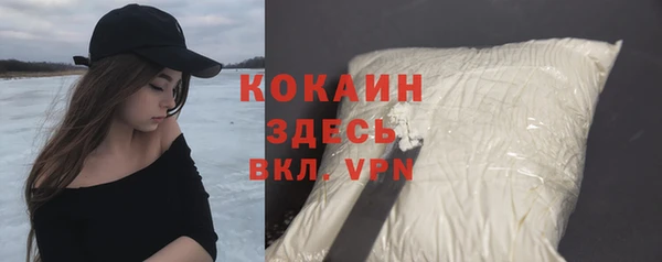 spice Алексин