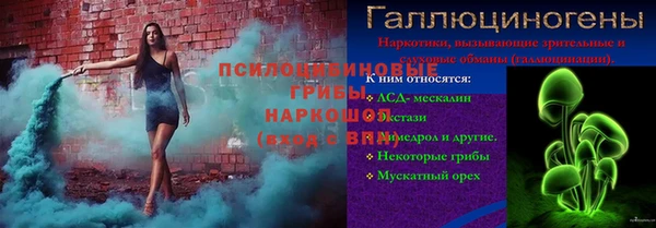 гидра Алзамай