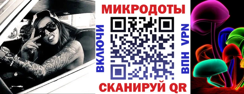 KRAKEN как зайти  Юрьевец  Псилоцибиновые грибы мицелий 